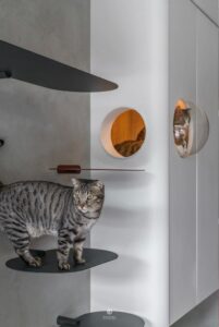 Designs that showcase proud pet owners